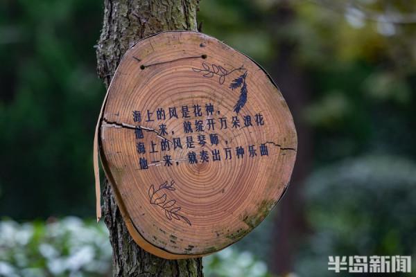 樹上“細語” 樹上“細語”