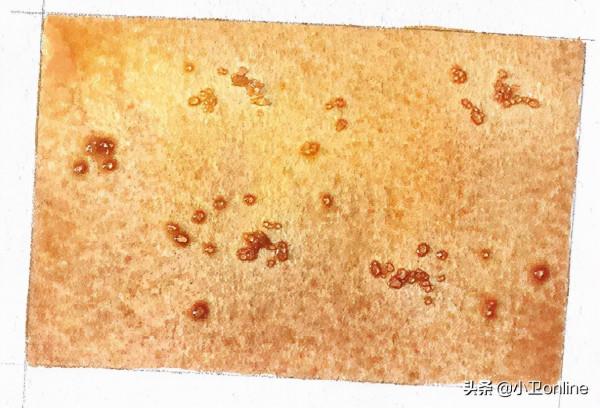 絕美鋼筆淡彩畫法來了!簡單出效果,值得擁有 絕美鋼筆淡彩畫法來了!簡單出效果,值得擁有