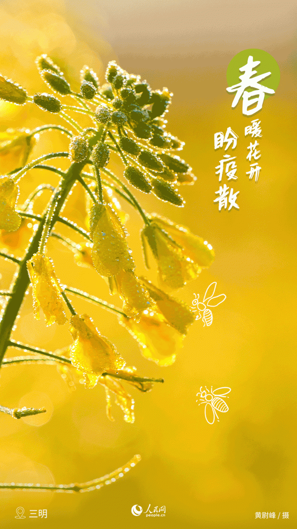 春風過處，草也青青，木也欣欣！福建的春天美醉了……