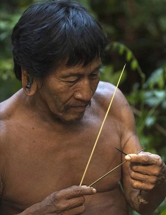 用毒蛙的毒毒毒蛙，毒蛙會被毒蛙的毒毒死嗎？