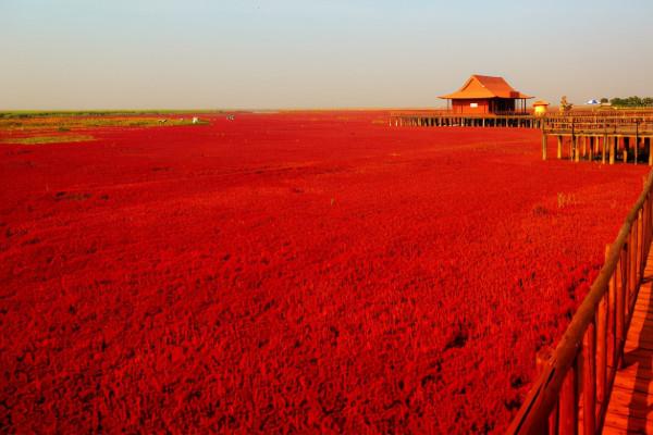 國慶賞秋該去哪?遼寧這6處景點千萬不能錯過,個個不輸北京香山 國慶賞秋該去哪?遼寧這6處景點千萬不能錯過,個個不輸北京香山