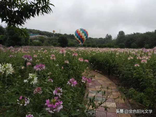 西峽博物館遊記、美好的瞬間 西峽博物館遊記、美好的瞬間