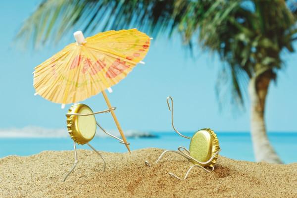 小屯貓館- 小屯貓館-