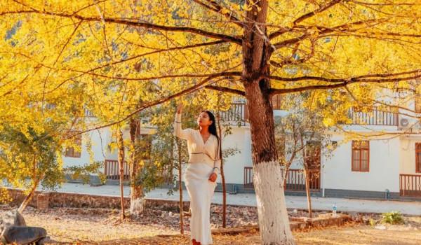 廣東絕美的秋色,都藏在了這4個小眾景點裡 廣東絕美的秋色,都藏在了這4個小眾景點裡