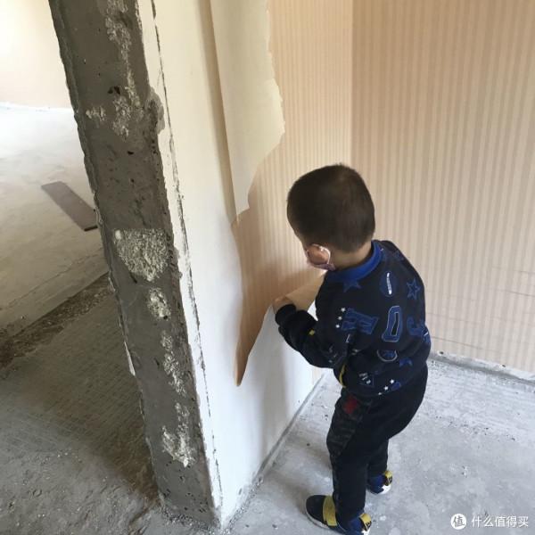 一年零三個月，我的精裝修清零重裝修之路（一）