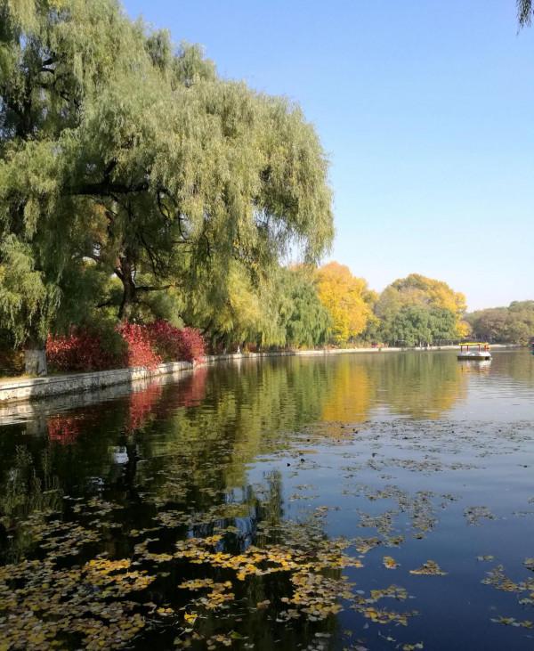 濃墨重彩的瀋陽市北陵公園最美水面倒影
