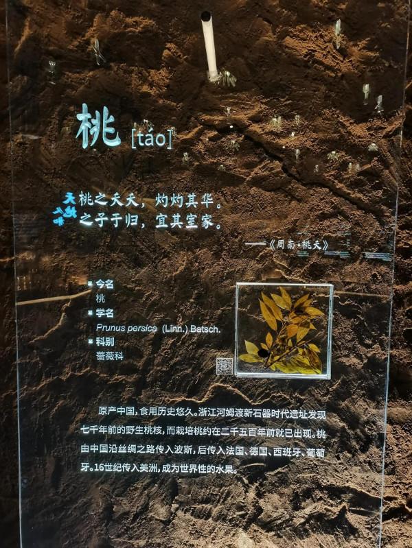 北京世園公園中國館