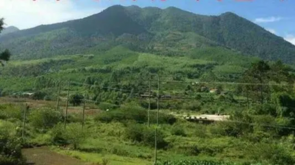 老兵回憶對越反擊戰,團長被停職調查,理由是違反紀律 老兵回憶對越反擊戰,團長被停職調查,理由是違反紀律