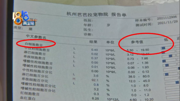 術後幾天查出貓瘟,跟手術有沒有關係 術後幾天查出貓瘟,跟手術有沒有關係