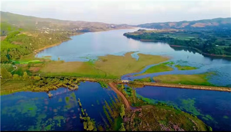 首批黑頸鶴飛抵會澤保護區越冬