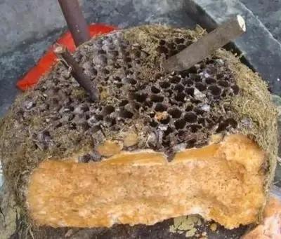 假蜂蜜有多離譜?蜂農多年經驗,讓大家見識一下蜂蜜是如何造假的 假蜂蜜有多離譜?蜂農多年經驗,讓大家見識一下蜂蜜是如何造假的