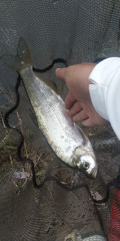 光會釣魚不算一個合格的釣魚人