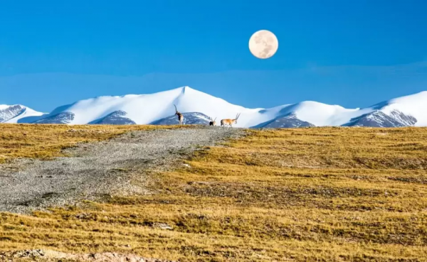 疫情過後，10條西部自駕路線，選一條，來感受祖國真實的美