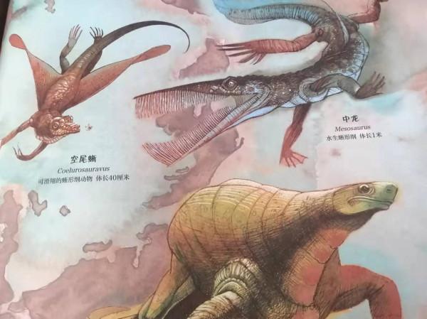 地球已存在46億年，生命的興衰演替不斷，但人類出現之前什麼樣？