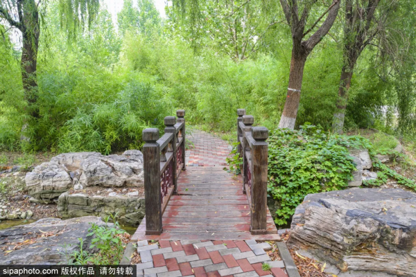 門票3毛錢！這個私家花園對外開放啦，有“佛香閣”，還有滿樹蘋果~