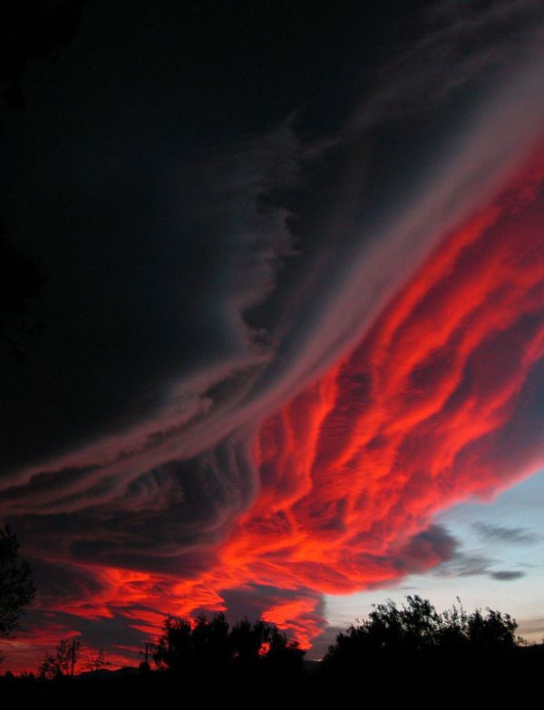 80個神奇照片，最早的鼻罩，比小鎮還大的巨輪，打獵的精美裝備