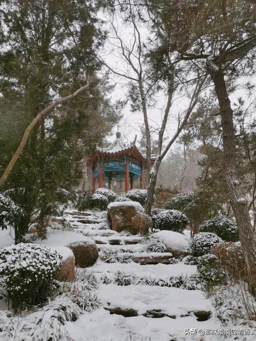 2021年的最後一場雪，讓我生平第一次反感和恐懼