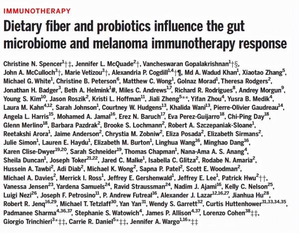 膳食纖維或益生菌對腸道菌群及黑色素瘤免疫治療反應的不同影響