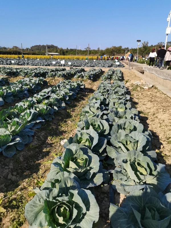 農科所—休閒娛樂