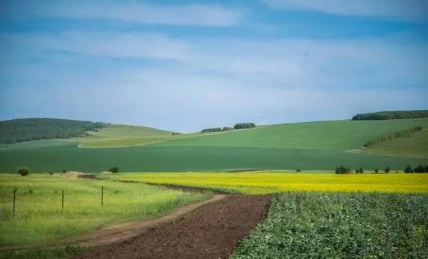中國最美的9大草原，一輛車，三五好友，就可以馳騁在草原上
