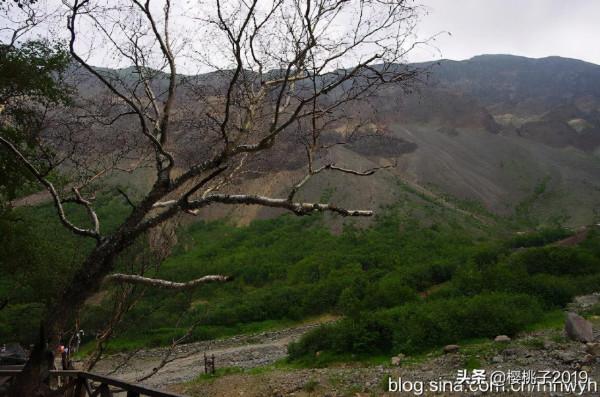 為什麼長白山瀑布遊客不能近身觀賞(圖) 為什麼長白山瀑布遊客不能近身觀賞(圖)