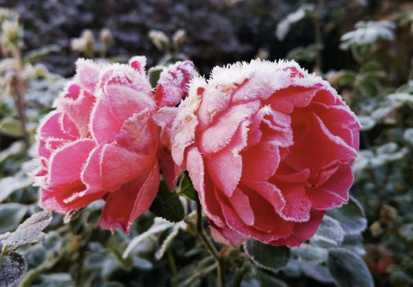 一一一：隨筆冬至