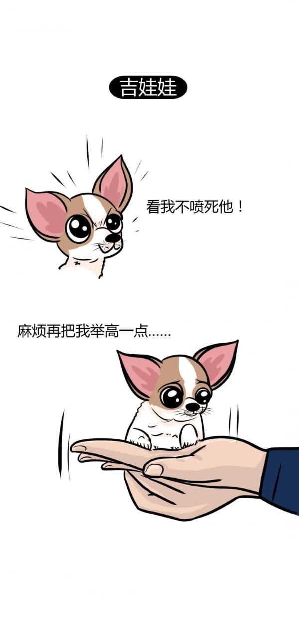 為什麼這些狗狗不能當搜救犬？