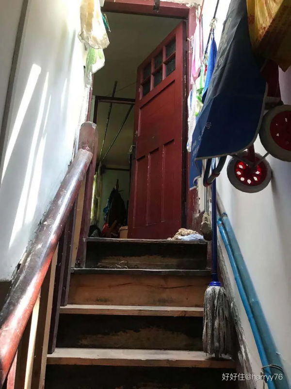 老年人的獨居生活，可比你們想的帶勁多了