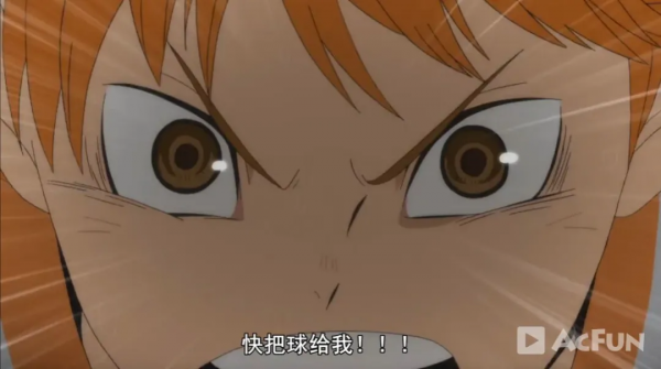 免費分享：排球少年漫畫（64卷版）好看到停不下來