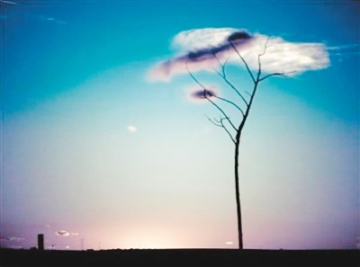 等待是一種美麗 等待是一種美麗