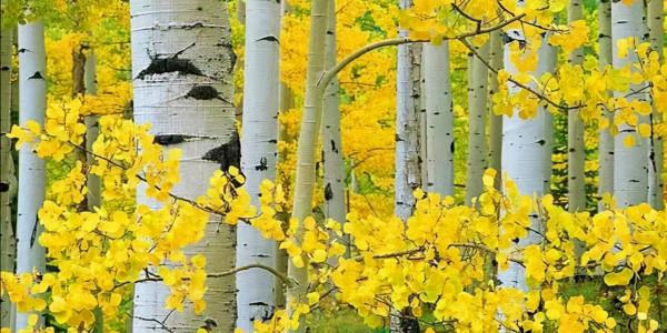 哪些壞習慣會加速衰老（原創）