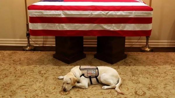 2018年老布什葬禮：希拉里無視特朗普，小布什再次給米歇爾遞糖