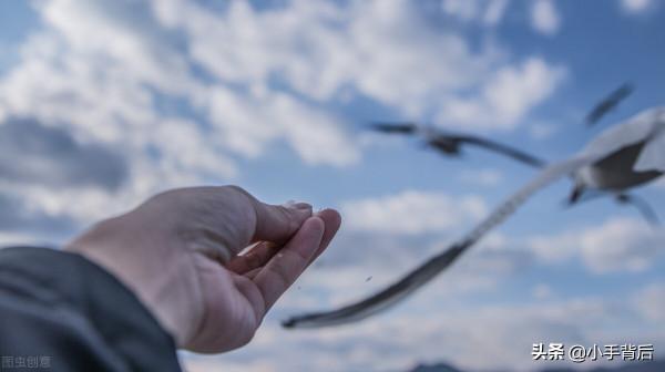 “為什麼很多年輕人不上班，在家啃老，沒本事還嫌掙的少？”？