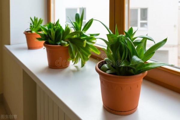 如何讓衛生間美觀大氣、舒適雅緻、空氣清新? 如何讓衛生間美觀大氣、舒適雅緻、空氣清新?