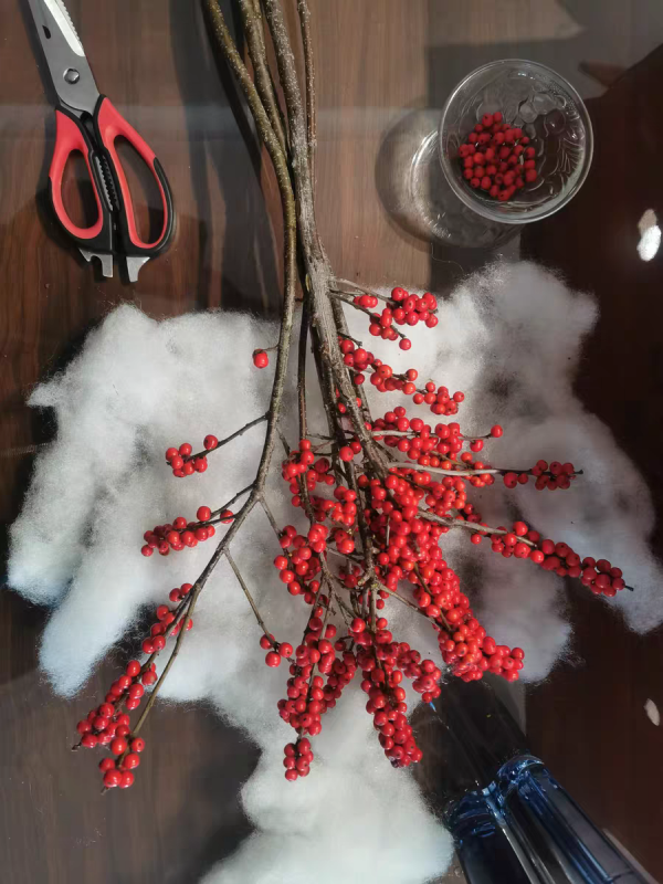 年宵花中的&OpenCurlyDoubleQuote;愛馬仕&rdquo;，紅果子掛滿枝，紅紅火火大吉大利