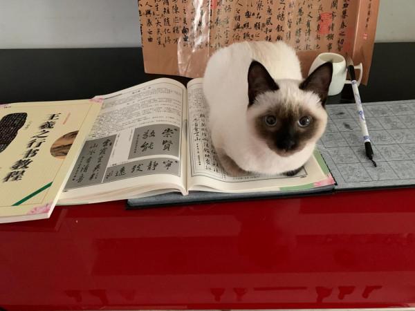 每一種生命都值得尊重和珍惜 每一種生命都值得尊重和珍惜