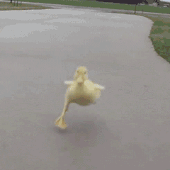 MIUI 13太贊！Xiaomi 12Pro的新年功能好玩，米粉直言有點秀