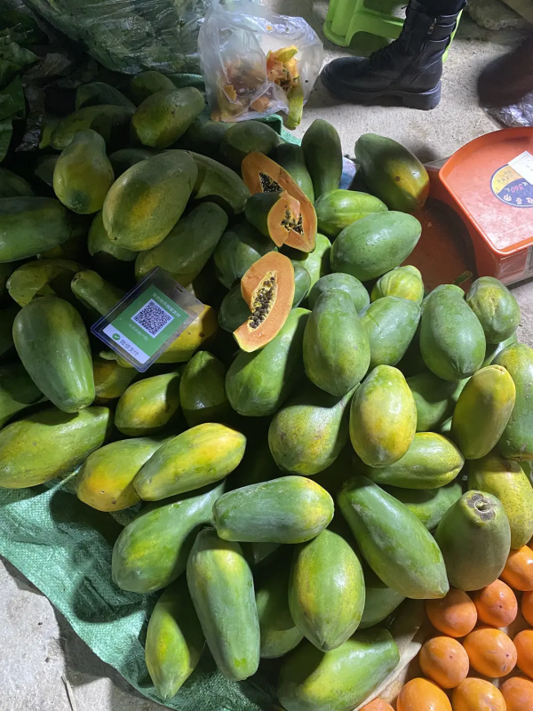 雲南紅河蒙自，大樹寨夜市