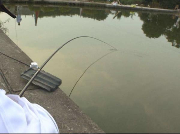 你經常切線跑魚嗎?切線的九大原因,各有應對之策 你經常切線跑魚嗎?切線的九大原因,各有應對之策