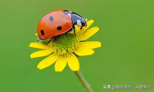 你為什麼不快樂？因為你總在檢討別人而不反觀自己