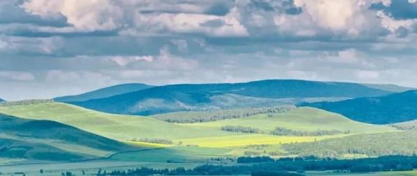 機械式水錶計量特性的水壓影響機理分析