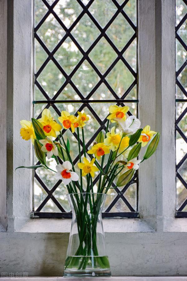 吉祥如意的水仙花