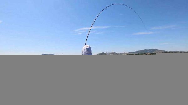 為何夏季釣鯽魚又少又小，到了冬季又大又多？難道是魚挑食？