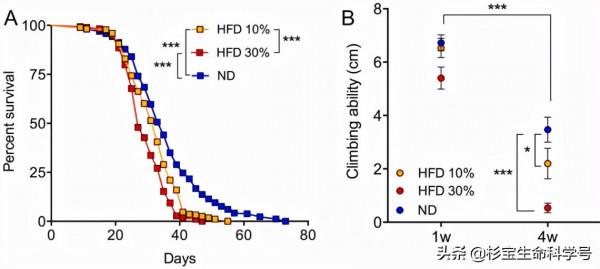 為了找到長壽飲食方法,科學家喂胖了果蠅 為了找到長壽飲食方法,科學家喂胖了果蠅