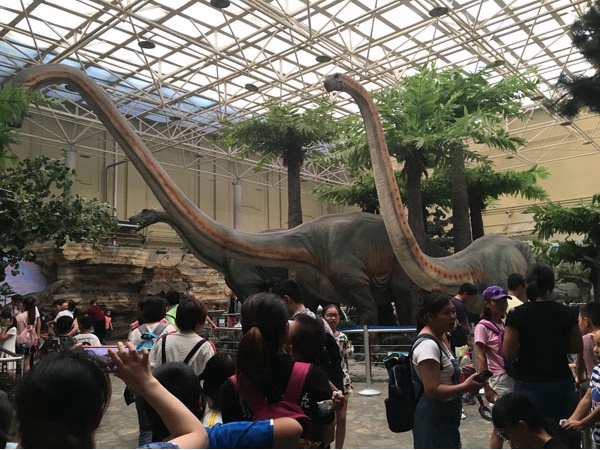 北京三家關於動物的博物館,帶你發現動物從古至今的那些秘密 北京三家關於動物的博物館,帶你發現動物從古至今的那些秘密