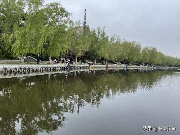 浮漂不這樣用真是可惜了！僅需改變一個細節，便可成為漁獲搬運機