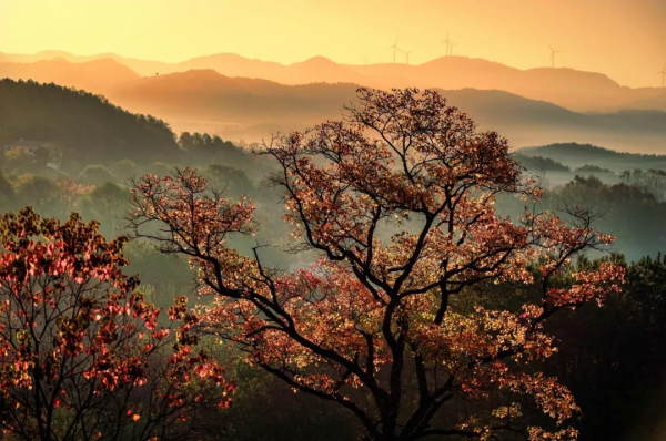 20個小眾旅行地,名氣不大,但景色絕不打折,快快安排上吧 20個小眾旅行地,名氣不大,但景色絕不打折,快快安排上吧
