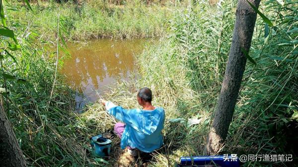 “偽”釣魚大師成長史，裝著裝著就真把自己當大師了，專門騙小孩
