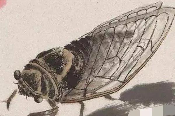 何雲偉畫了2個蝦，售價5000元，而齊白石畫蝦卻賣了上億