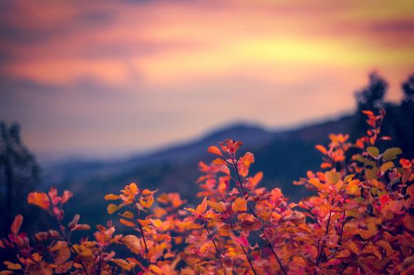 這一生，無論和誰相處，記住這幾句話